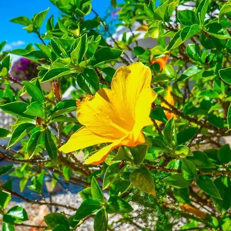 Daire Inftour La Vina Calp