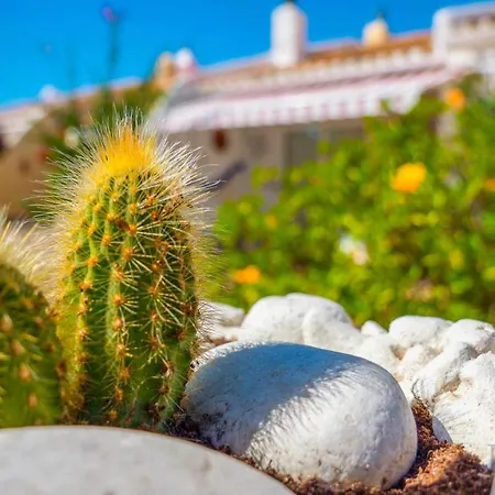 アパート Inftour La Vina