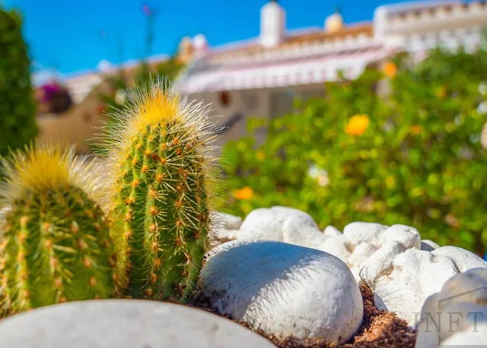 Lejlighed Inftour La Vina